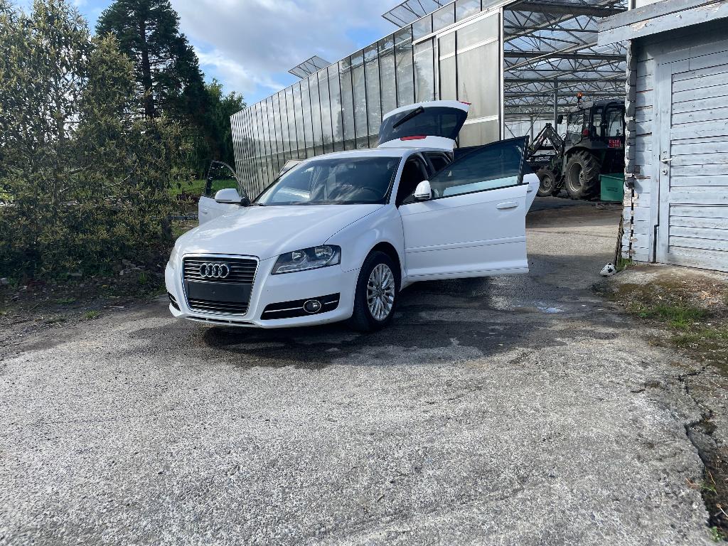 Portières Audi A3 8P (3 disponibles), Autos : Pièces & Accessoires, Enlèvement, Utilisé, Audi