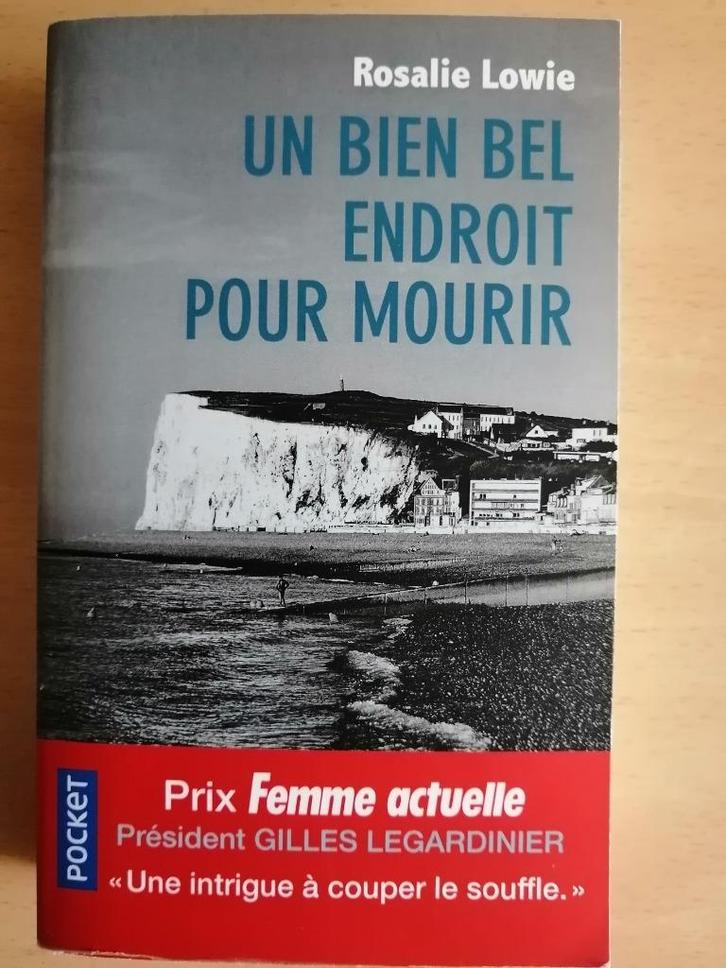 Un bien bel endroit pour mourir de Rosalie Lowie, Livres, Romans, Enlèvement ou Envoi