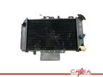 RADIATEUR Hyosung Comet GT650 R (GT650R) (01-1970/-), Motoren, Gebruikt