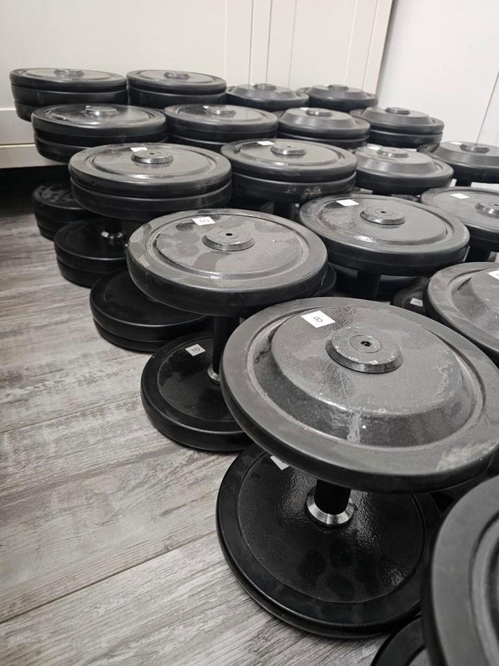 Technogym dumbells 4kg tm 22kg Totaal 304kg met rek, Sport en Fitness, Fitnessmaterialen, Ophalen