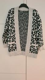 Gebreide open gilet maat 134/140, Kinderen en Baby's, Kinderkleding | Maat 134, Ophalen of Verzenden, Gebruikt, Meisje, Trui of Vest