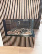 PROMO 3-zijdige Roomdivider van Faber type MatriX 800/500 RD, Ophalen of Verzenden, Nieuw, Kachel