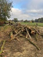 Gehele partij boomstammen te koop, Tuin en Terras, Brandhout, Ophalen of Verzenden, Stammen
