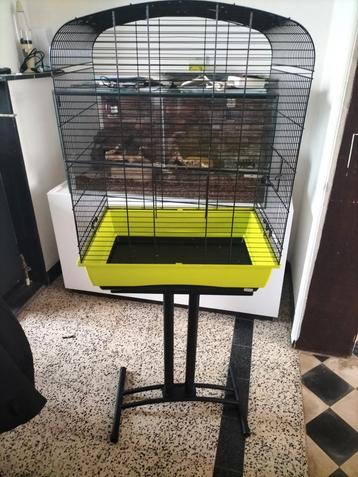 Cage à oiseaux