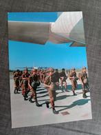 Para Pisa 88 – Postkaart, Verzamelen, Militaria | Algemeen, Foto of Poster, Luchtmacht, Ophalen of Verzenden