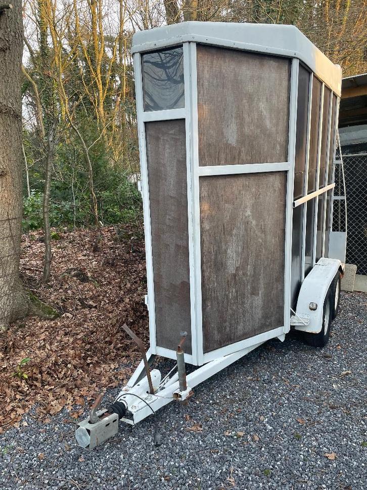 paardentrailer bcw, Animaux & Accessoires, Chevaux & Poneys | Semi-remorques & Remorques, Utilisé, Bois, Enlèvement