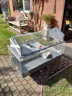 Knaagdierenkooi, Dieren en Toebehoren, Ophalen, Kooi, 110 cm of meer, 60 tot 90 cm