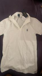 Witte Polo Ralph Lauren, Wit, Ralph Lauren, Nieuw, Ophalen of Verzenden