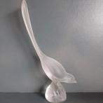 Vogel van matglas. Christinenhütte, Ophalen