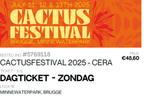 Cactus 2 tickets zondag, Tickets en Kaartjes