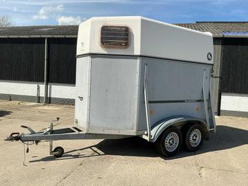 2004 Blomert T2 2 chevaux Remorque à chevaux, Utilisé, Autres types