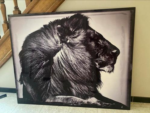 Yellowkorner - Laurent Baheux - Crinière de Lion (100x125cm), Huis en Inrichting, Woonaccessoires | Schilderijen, Tekeningen en Foto's