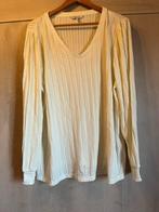 truitje creme ms mode xl amper gedragen, Kleding | Dames, Grote Maten, MS Mode, Ophalen of Verzenden, Zo goed als nieuw, Shirt of Top