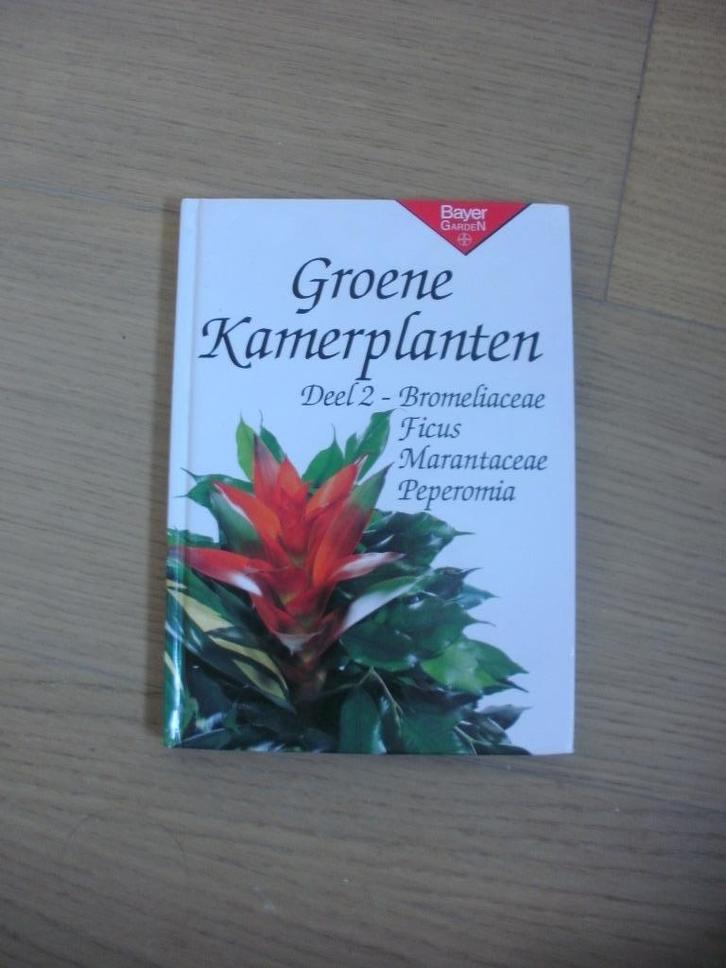 Groene kamerplanten, Boeken, Overige Boeken, Ophalen of Verzenden