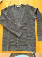 gilet M voor heren Hampton Bays (slim fit), Kleding | Heren, Truien en Vesten, Ophalen, Andere, Nieuw, Maat 48/50 (M)