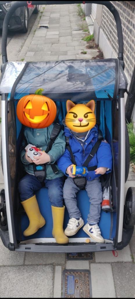 Fietskar Thule 2 personen, Fietsen en Brommers, Fietsaccessoires | Aanhangwagens en Karren, Gebruikt, Kinderkar, 40 tot 60 kg
