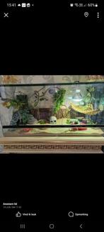 Terrarium te koop., Dieren en Toebehoren, Ophalen, Zo goed als nieuw