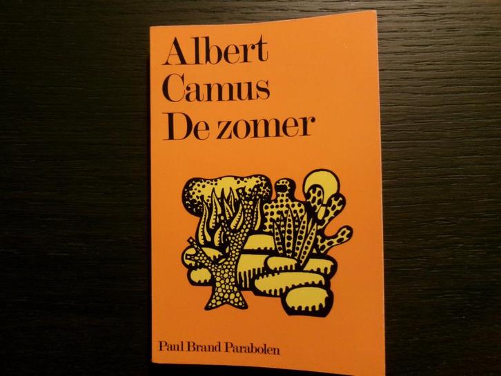 De zomer  -Albert Camus-, Boeken, Literatuur, Ophalen of Verzenden