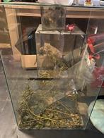 Groot terrarium, Dieren en Toebehoren, Ophalen, Gebruikt, Terrarium of Paludarium