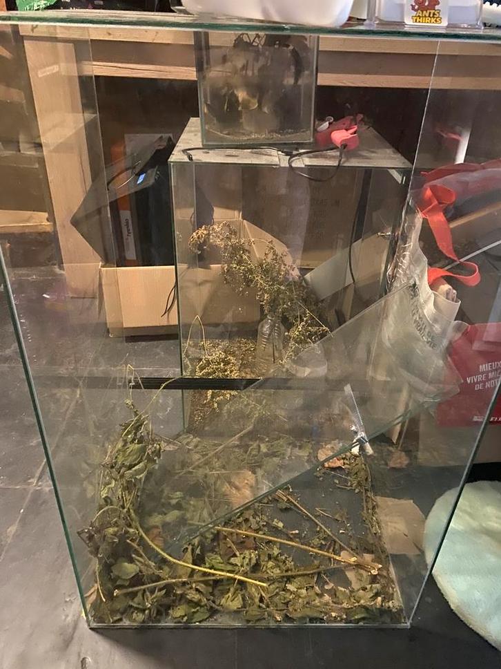 Groot terrarium, Dieren en Toebehoren, Reptielen en Amfibieën | Toebehoren, Gebruikt, Terrarium of Paludarium, Ophalen