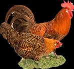 Œufs à éclore, Animaux & Accessoires, Volatiles