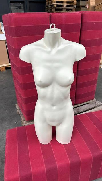19 hangbustes Female beschikbaar voor biedingen