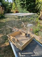 Cage de transport pour perroquet, Animaux & Accessoires, Oiseaux | Cages & Volières, Comme neuf, Enlèvement ou Envoi