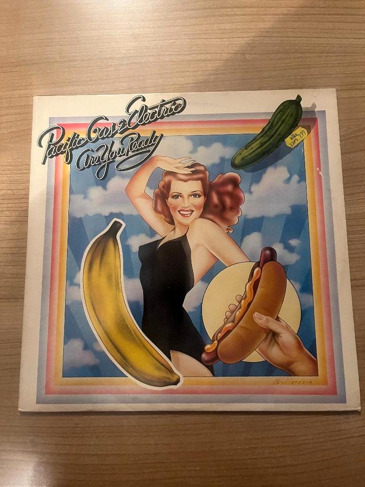 PACIFIC GAS AND ELECTRIC - ARE YOU READY, CD & DVD, Vinyles | Rock, Utilisé, Rock and Roll, Envoi