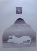 MICHEL SEUPHOR / HEXAGRAMMES YI-KING / ZW-W LITHO / 75x55cm, Antiek en Kunst, Ophalen of Verzenden