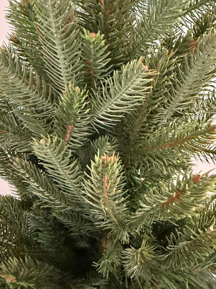 Kerstboom kunst Frasier fir 140cm, Diversen, Kerst, Nieuw, Ophalen of Verzenden