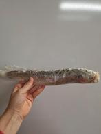 Verse forel, Ophalen