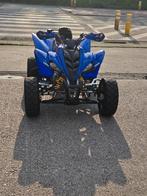 Raptor 350, Motoren, Quads en Trikes