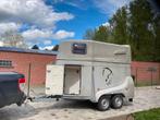 Jet paadentrailer XL, 2-paards trailer, Polyester, Gebruikt, Ophalen