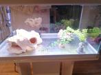 Aquarium, Animaux & Accessoires, Poissons | Aquariums & Accessoires, Enlèvement, Comme neuf, Autres types