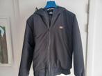 Winterjas Dickies, Enlèvement ou Envoi, Dickies, Porté, Taille 46 (S) ou plus petite