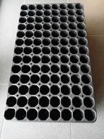 Kweekbak, Enlèvement, Neuf, Boîte de culture