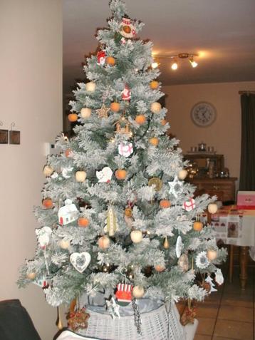 Sapin de Noël beschikbaar voor biedingen