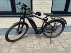 Flyer - Speed pedelec, Fietsen en Brommers, Ophalen, Zo goed als nieuw