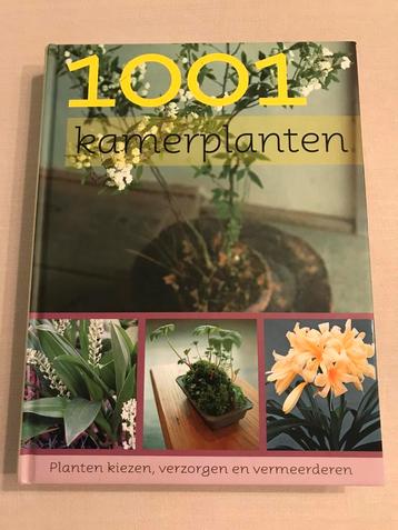 1001 kamerplanten *Nieuw* disponible aux enchères