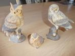 3 beelden: familie uil, Ophalen, Zo goed als nieuw, Dier