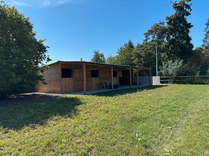 Paardenaccomodatie te huur (Lokeren, eigen beheer), Dieren en Toebehoren, Stalling en Weidegang, Stalling, Weidegang, Accessoires