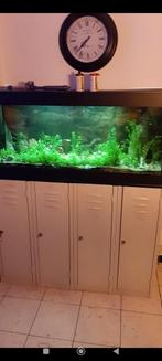 Aquariums 2x & retro kast & toebehoren, Dieren en Toebehoren, Ophalen, Gebruikt