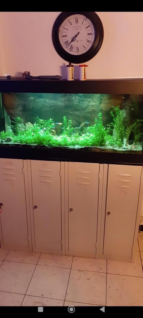 Aquariums 2x & retro kast & toebehoren, Dieren en Toebehoren, Vissen | Aquaria en Toebehoren, Gebruikt, Ophalen