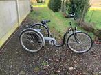 driewieler, merk Tri-Bike, Enlèvement, Utilisé, Autres marques, Vitesses