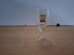 champagneglas samson, Ophalen of Verzenden, Nieuw, Glas, Glas of Glazen