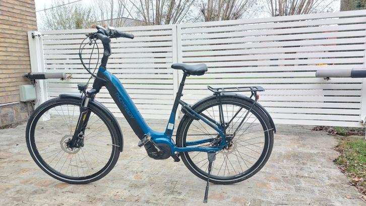 Thompson comfort met riem, Fietsen en Brommers, Elektrische fietsen, Gebruikt, Ophalen