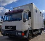 MAN 8153 paardenvrachtwagen 3 paarden nr 10, Dieren en Toebehoren, Ophalen, Gebruikt, 3-paards trailer