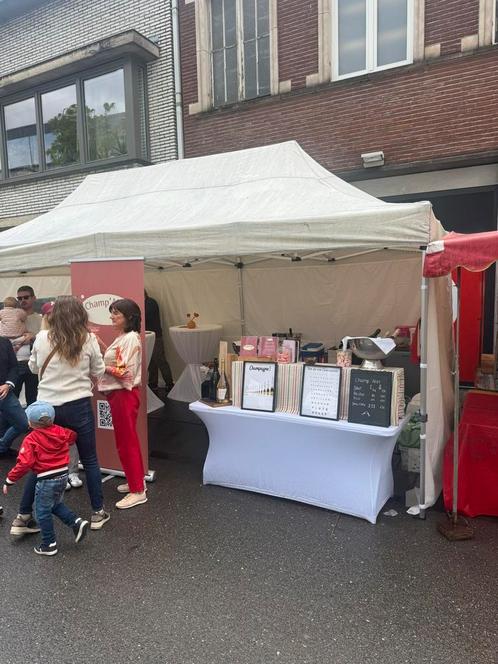 Vouwtent 6x3 wit met alle zijwanden, Tuin en Terras, Partytenten, Gebruikt, Overige typen, 2 meter of meer, 5 tot 8 meter, Minder dan 4 meter