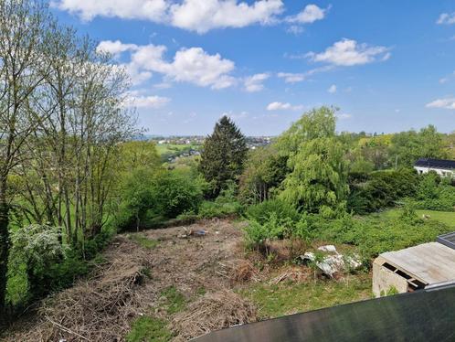 1000 m² veldreiniging, Tuin en Terras, Gras en Kunstgras, Ophalen of Verzenden