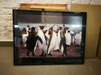 Cadre photo pingouins, Comme neuf, Enlèvement